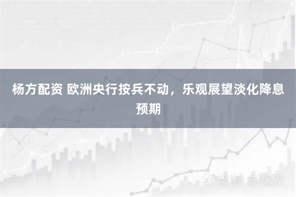 杨方配资 欧洲央行按兵不动，乐观展望淡化降息预期