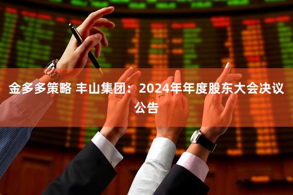 金多多策略 丰山集团：2024年年度股东大会决议公告