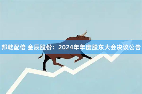 邦乾配倍 金辰股份：2024年年度股东大会决议公告