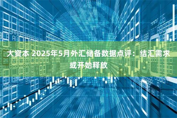 大资本 2025年5月外汇储备数据点评：结汇需求或开始释放