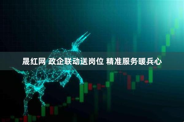 晟红网 政企联动送岗位 精准服务暖兵心