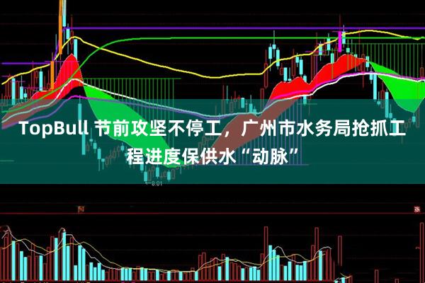 TopBull 节前攻坚不停工，广州市水务局抢抓工程进度保供水“动脉”