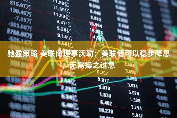 驰盈策略 美联储理事沃勒：美联储可以稳步降息，无需操之过急