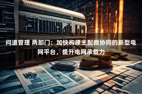 问道管理 两部门：加快构建主配微协同的新型电网平台，提升电网承载力