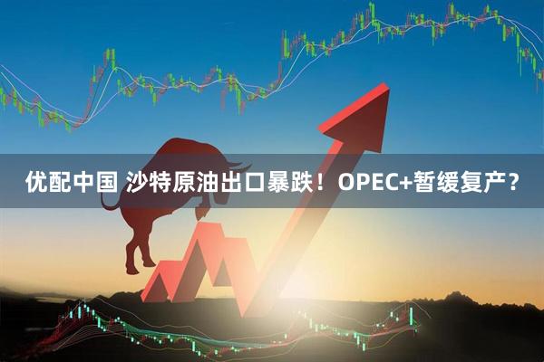 优配中国 沙特原油出口暴跌！OPEC+暂缓复产？